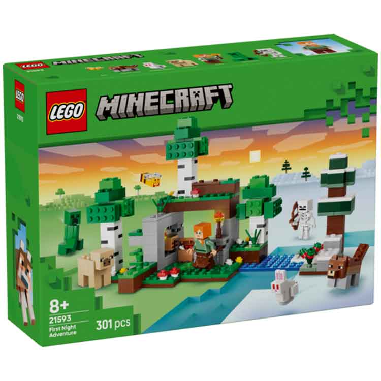 LEGO 21593 First Night Adventure