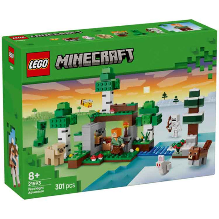 LEGO 21593 First Night Adventure